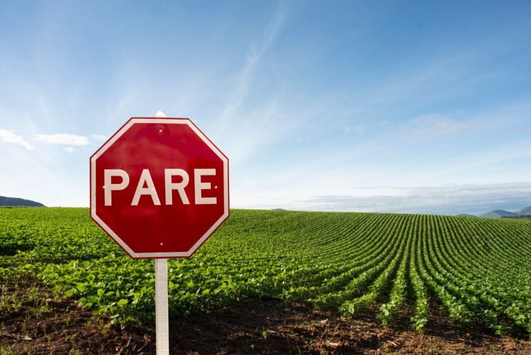 Frente Fria e Ciclone: Como a AgTech Prepara o Campo para Chuvas Fortes e Queda de Temperatura