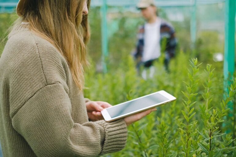 AgTech e a Gestão Estratégica das Chuvas: Maximizando a Produtividade e a Resiliência no Campo Brasileiro