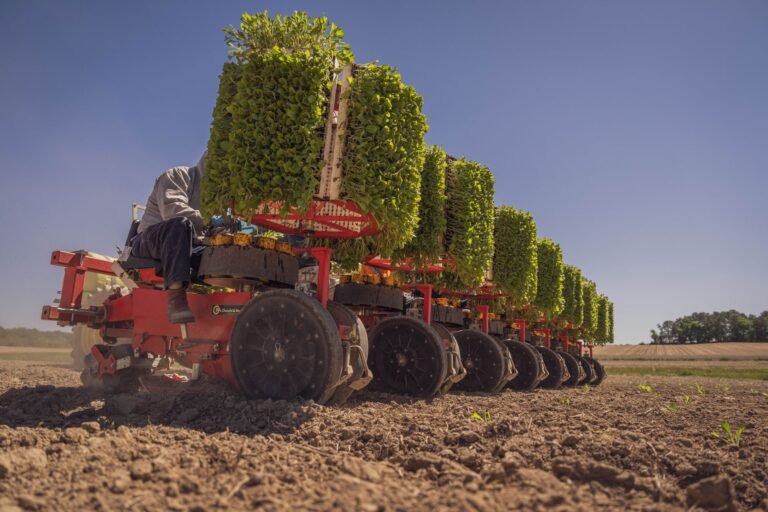 AgTech e Exportação: A Chave para a Competitividade do Agro Brasileiro no Mercado Global