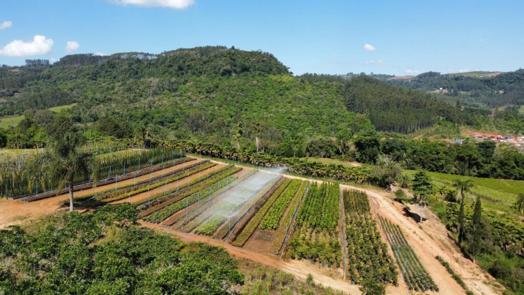 AgTech na Vanguarda: Tratores a Metano Impulsionam a Produtividade Sustentável no Campo