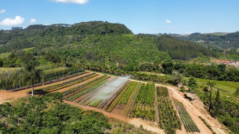 AgTech na Vanguarda: Tratores a Metano Impulsionam a Produtividade Sustentável no Campo