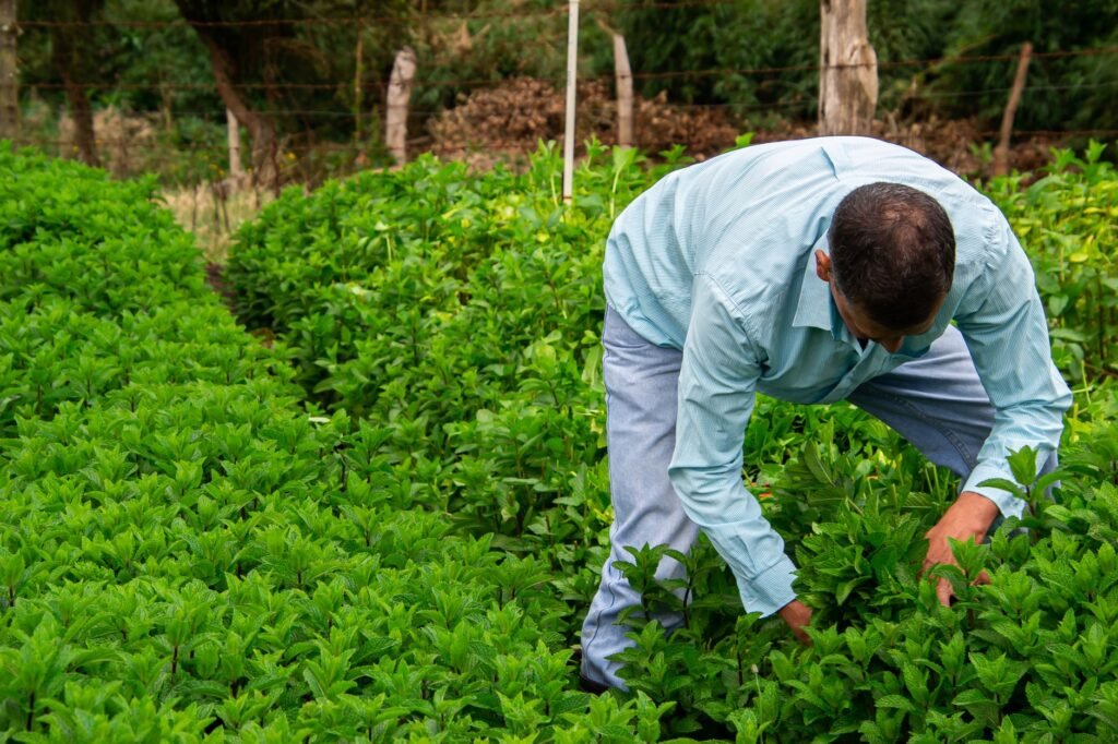 Avanço no Pipiripau: Como a Sustentabilidade Hídrica no Campo Demanda o Olhar da AgTech