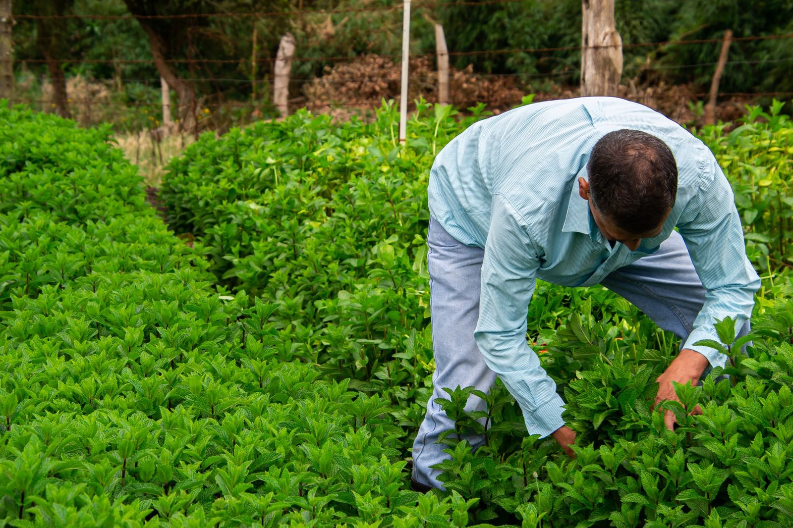 Avanço no Pipiripau: Como a Sustentabilidade Hídrica no Campo Demanda o Olhar da AgTech