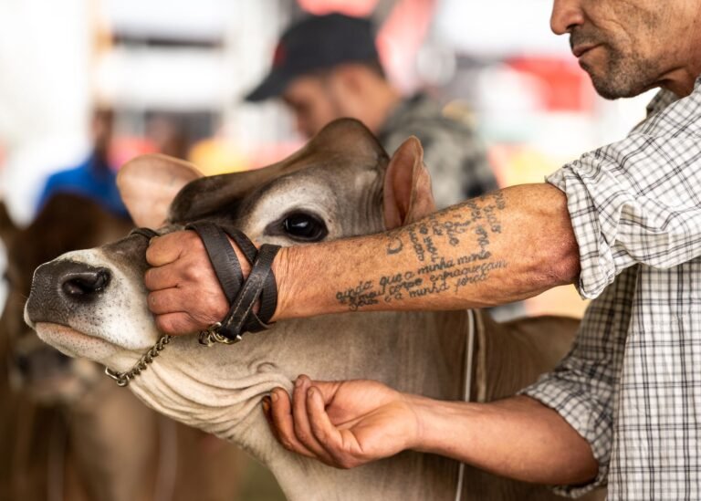 Bahia Farm Show 2023: Impulsionando a Produtividade e Sustentabilidade com AgTech