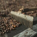 Bahia Farm Show: Inovações e Investimentos no Setor Agro
