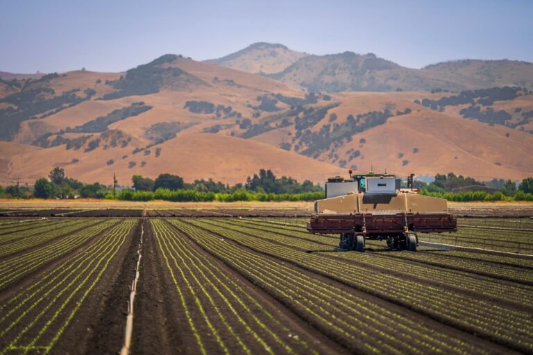 Capina Mecânica: Por Que o Mercado Global Freou e o Impacto para o Produtor Brasileiro