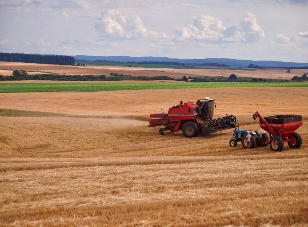 Levantamento Conab: O GPS Estratégico da AgTech para a Safra de Grãos 2025/2026