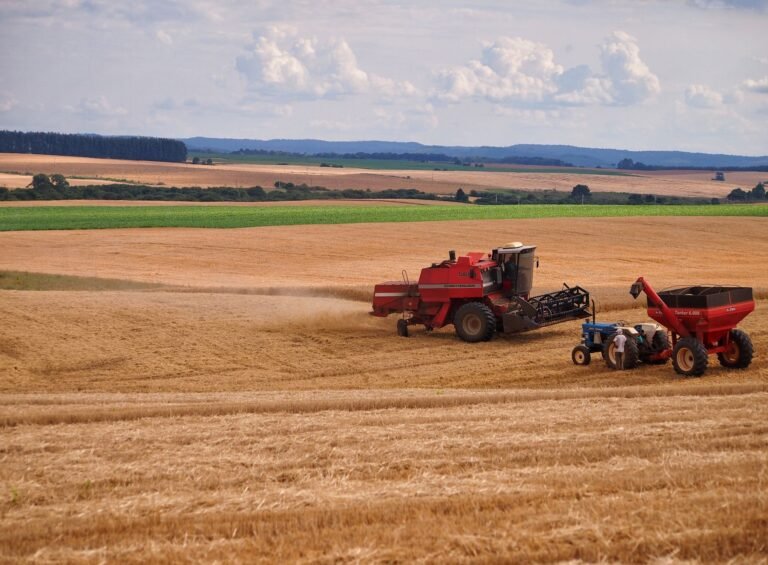 Levantamento Conab: O GPS Estratégico da AgTech para a Safra de Grãos 2025/2026