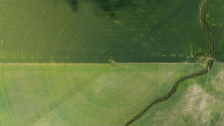 El Niño e Agricultura de Precisão: Maximizando Produtividade e Lucratividade com AgTech