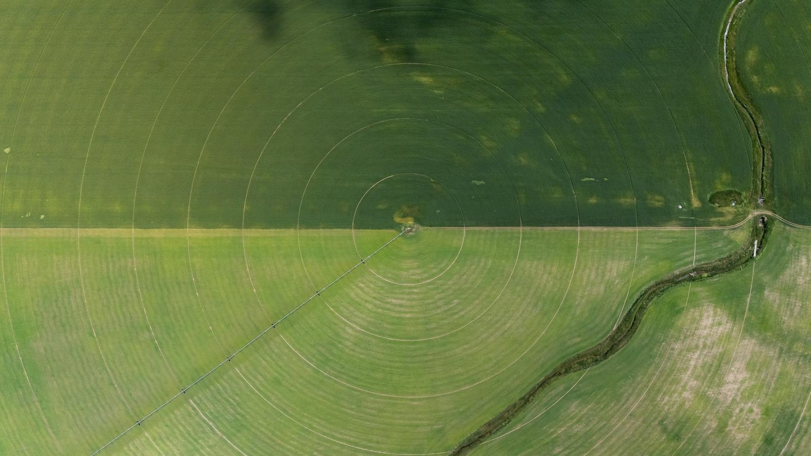 El Niño e Agricultura de Precisão: Maximizando Produtividade e Lucratividade com AgTech