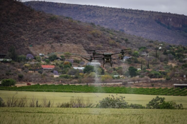 Exigências Chinesas: Como AgTech Impulsiona Rastreabilidade e Qualidade no Agronegócio Brasileiro