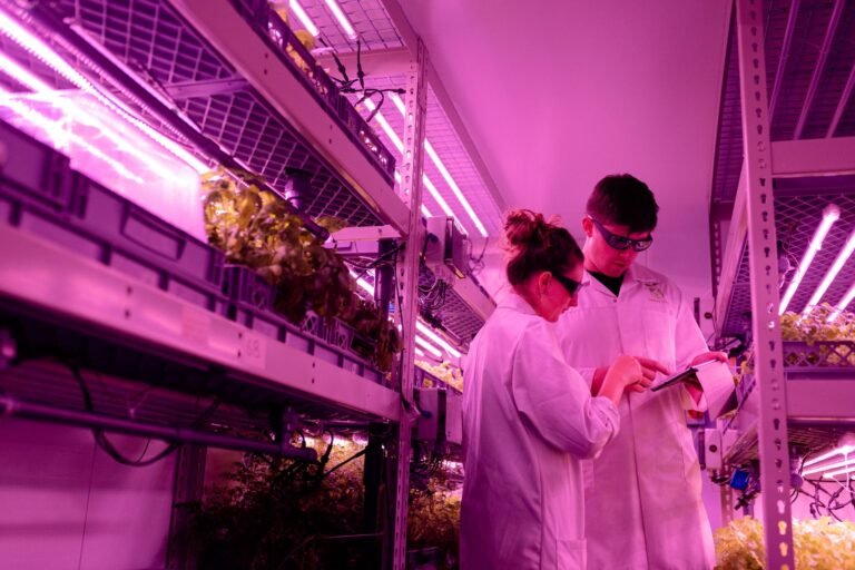 IA Generativa no P&D Agrícola: Otimizando Formulações ou Gerando Retrabalho?