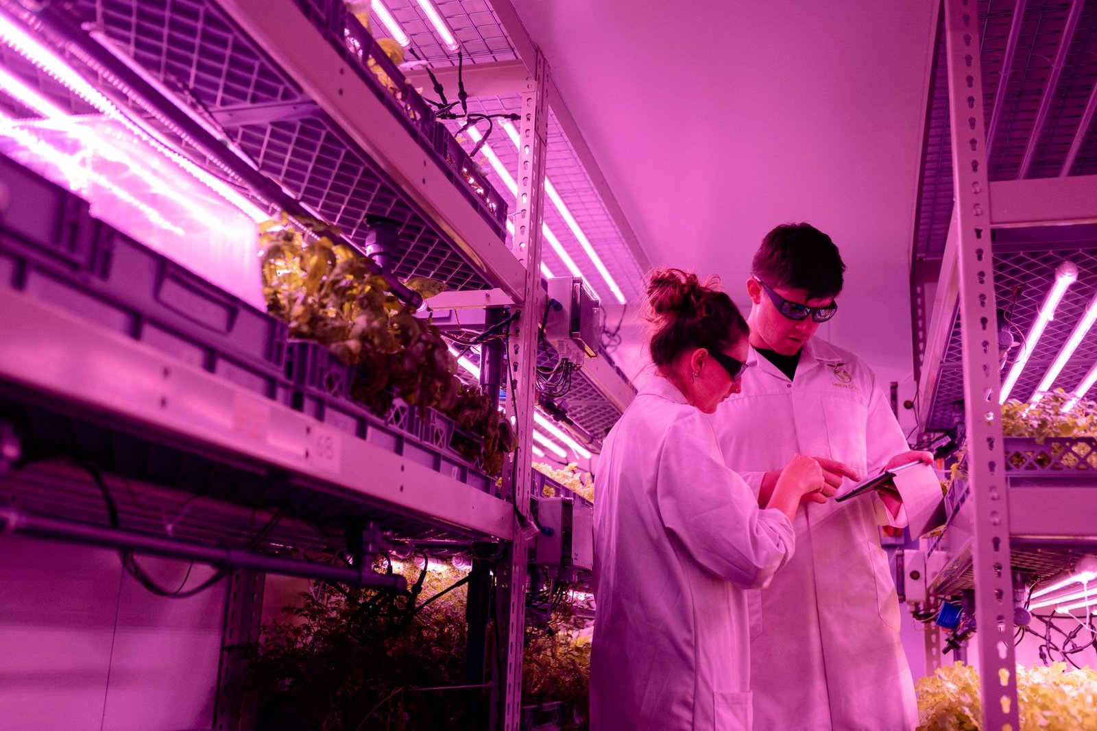 IA Generativa no P&D Agrícola: Otimizando Formulações ou Gerando Retrabalho?