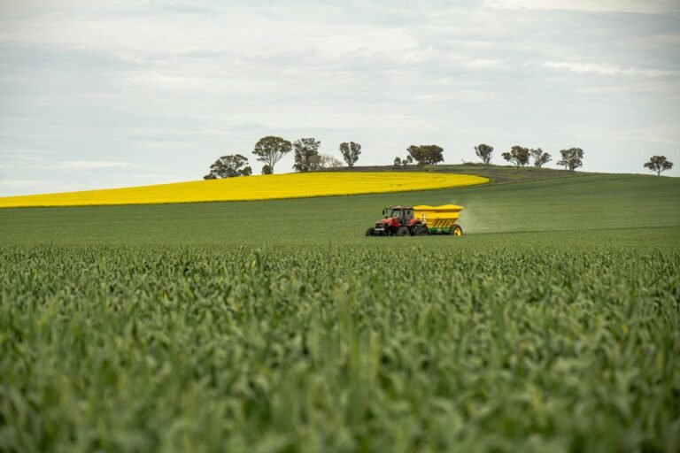 Incentivo a Fertilizantes: Como o Profert Pode Impulsionar a AgTech e a Produtividade no Campo Brasileiro
