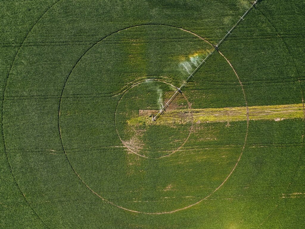 Irriga+RS Impulsiona Agricultura de Precisão e Produtividade Sustentável no Campo Gaúcho