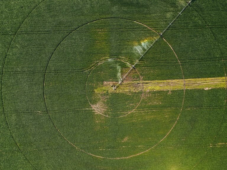 Irriga+RS Impulsiona Agricultura de Precisão e Produtividade Sustentável no Campo Gaúcho