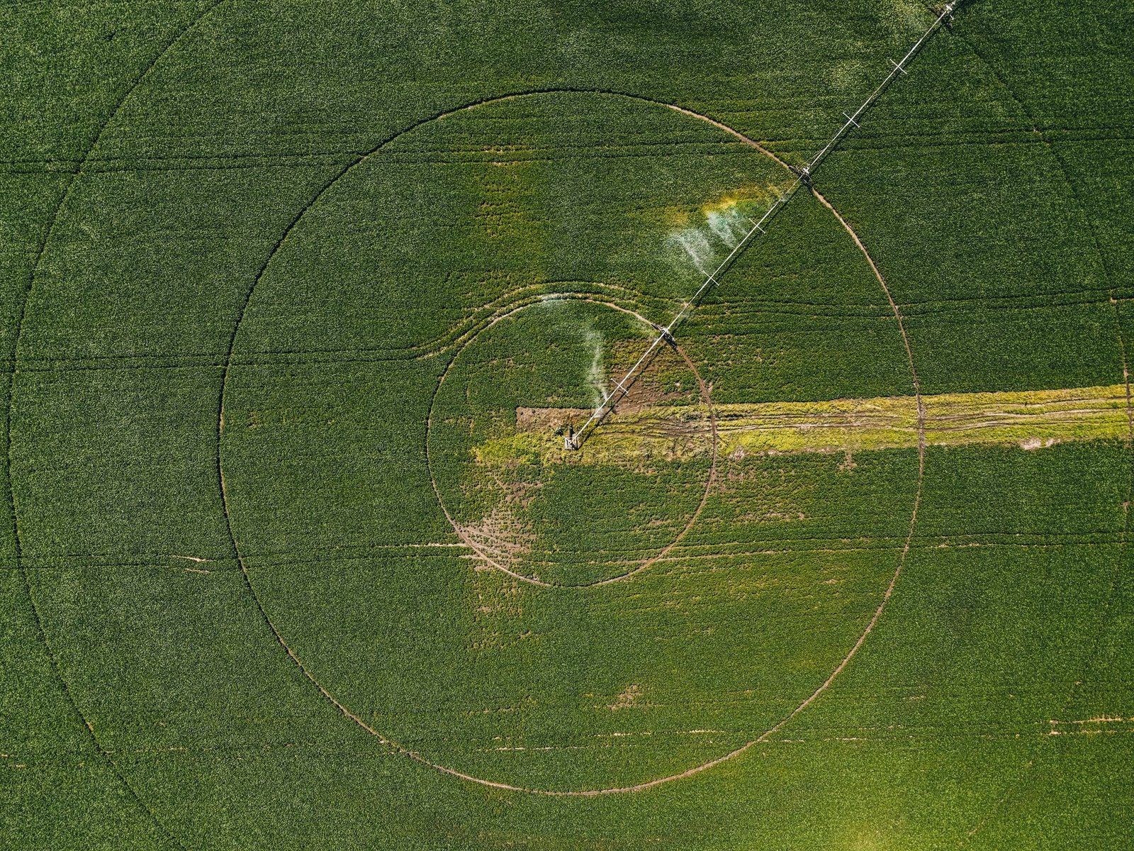 Irriga+RS Impulsiona Agricultura de Precisão e Produtividade Sustentável no Campo Gaúcho