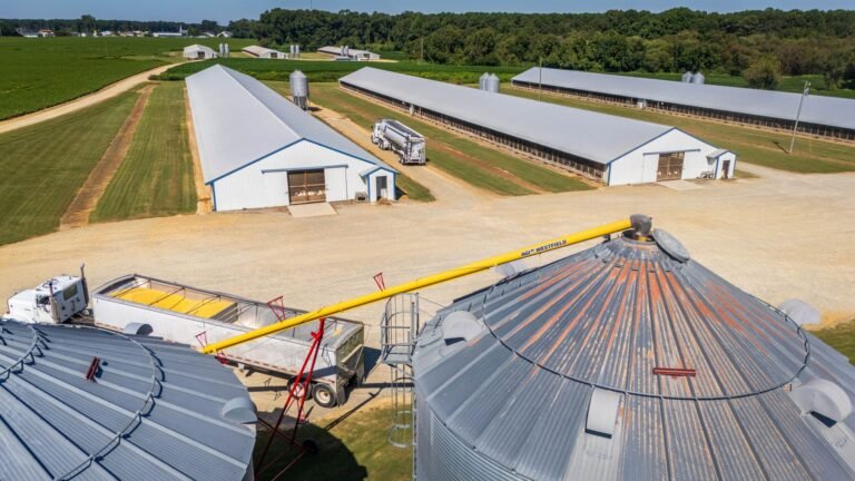 MP do Frete: O que isso significa para o agro e a indústria?