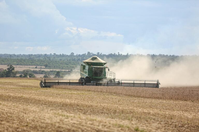 Pós-Colheita 4.0: Como a Tecnologia Redefine a Produtividade e Sustentabilidade no Agronegócio
