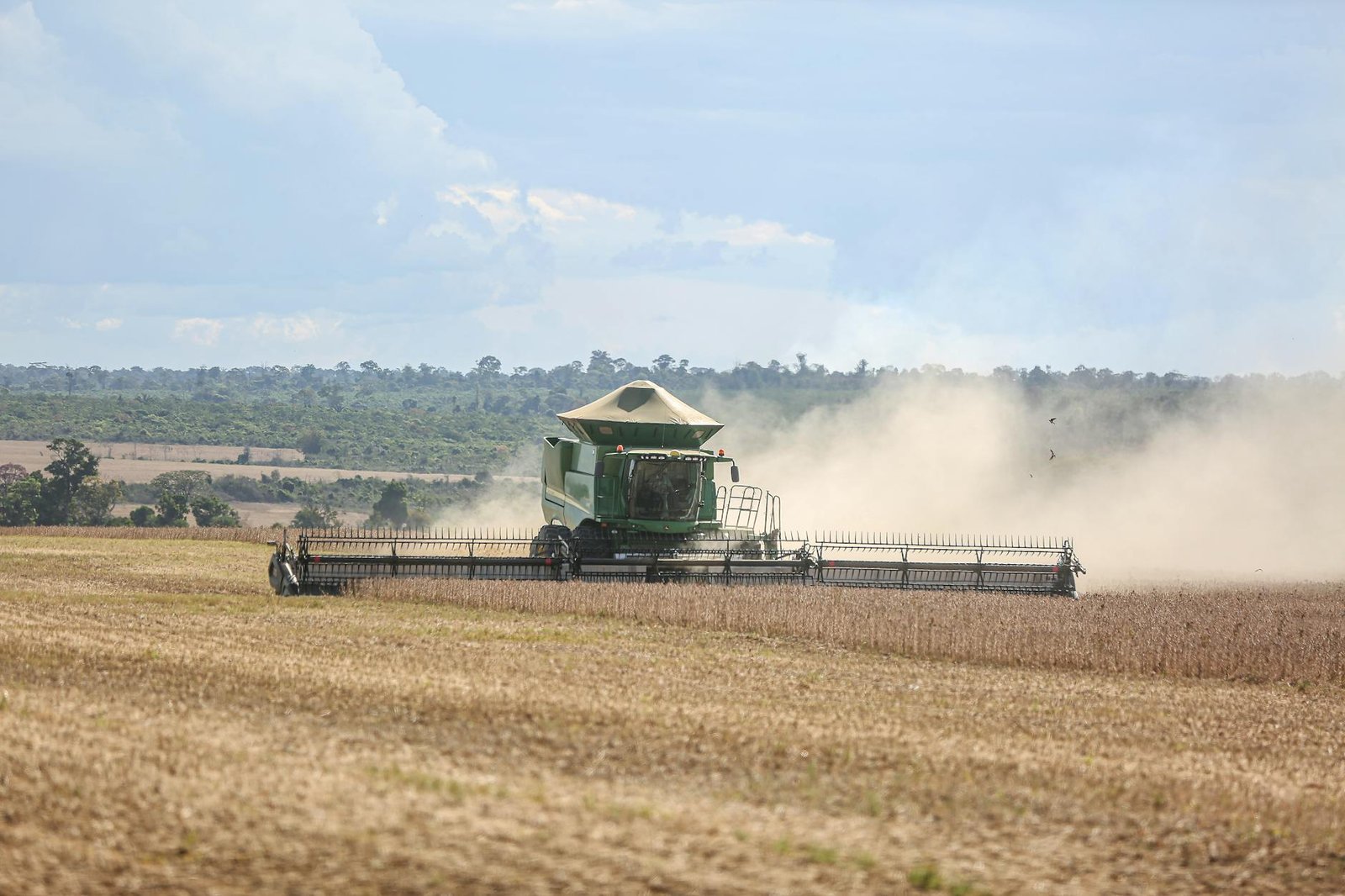 Pós-Colheita 4.0: Como a Tecnologia Redefine a Produtividade e Sustentabilidade no Agronegócio