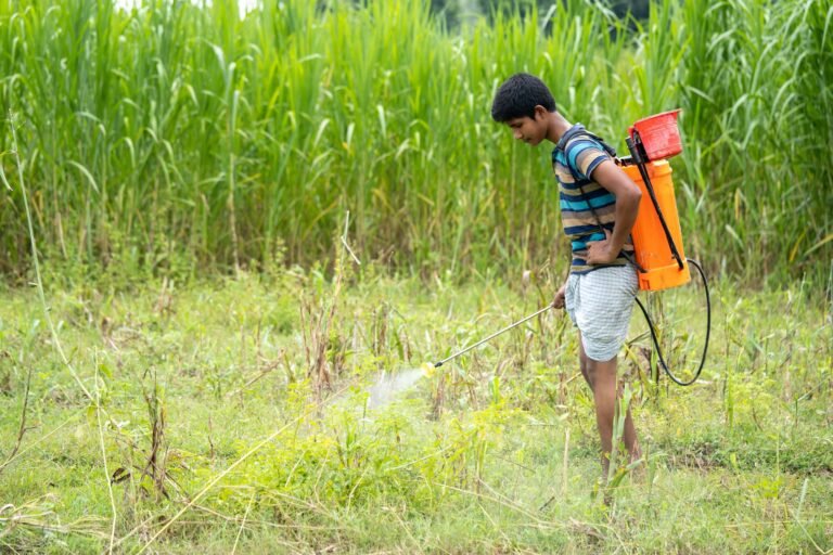 Sistema de pulverização de precisão pode revolucionar a agricultura