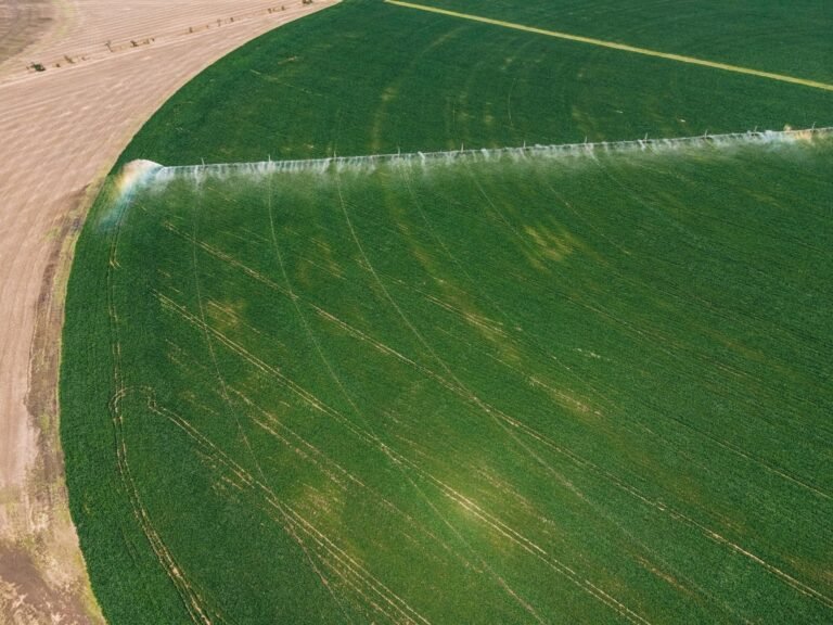 Tecnologia melhora gestão de água na agricultura