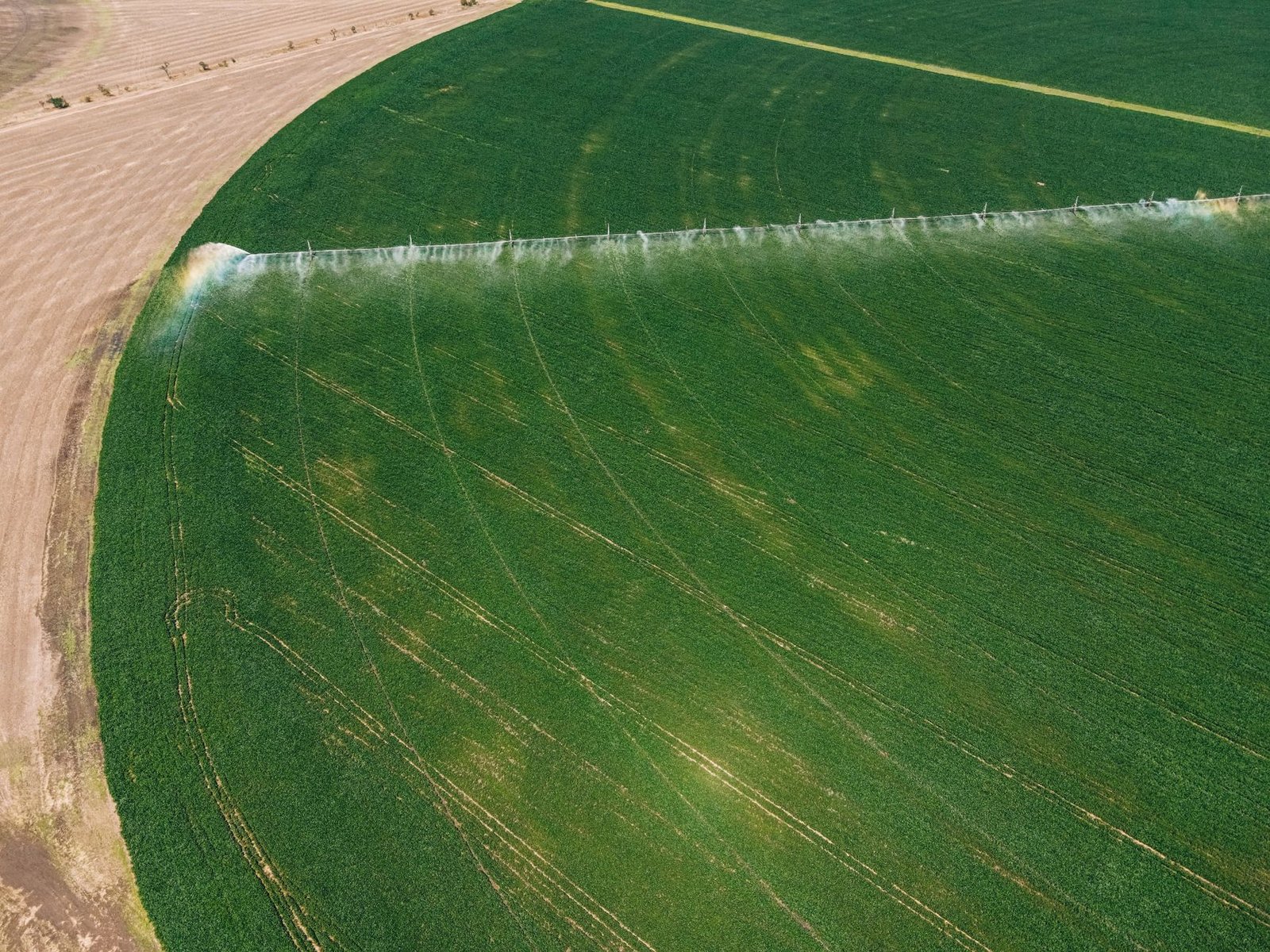 Tecnologia melhora gestão de água na agricultura
