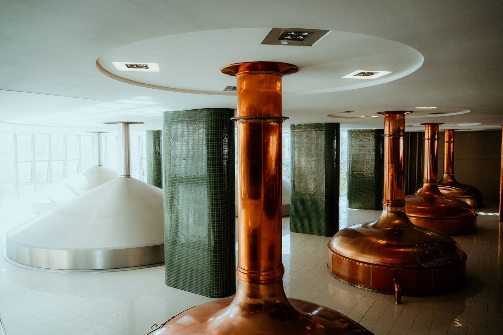 The Protein Brewery supera obstáculo FDA e impulsiona expansão