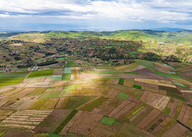 Transição para um novo agro: desafios e oportunidades para o Brasil