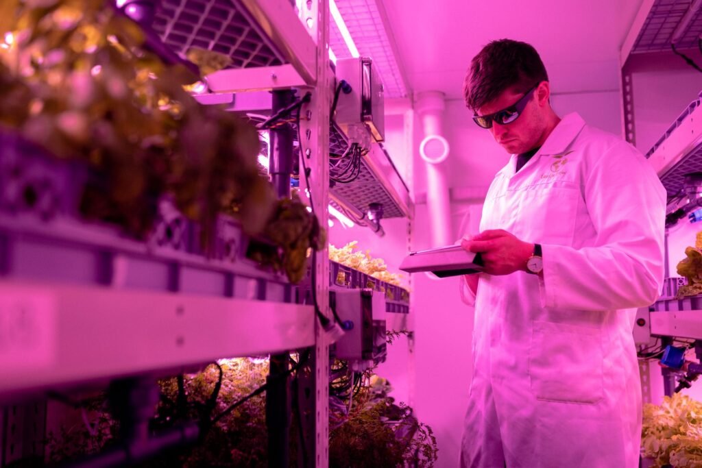 Unicamp Lança Calculadora: Resíduos do Agro Viram Créditos de Carbono e Energia
