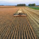 Vazio Sanitário da Soja em Mato Grosso: Como a AgTech Otimiza o Combate à Ferrugem Asiática