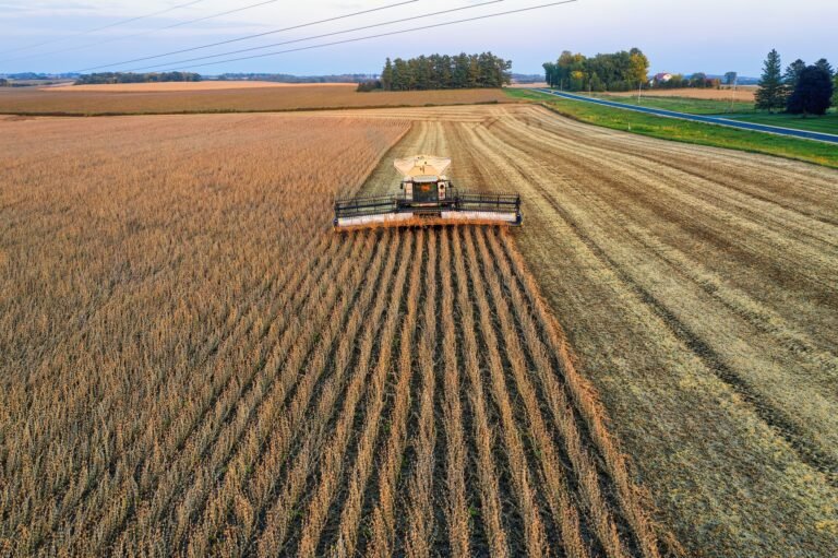 Vazio Sanitário da Soja em Mato Grosso: Como a AgTech Otimiza o Combate à Ferrugem Asiática