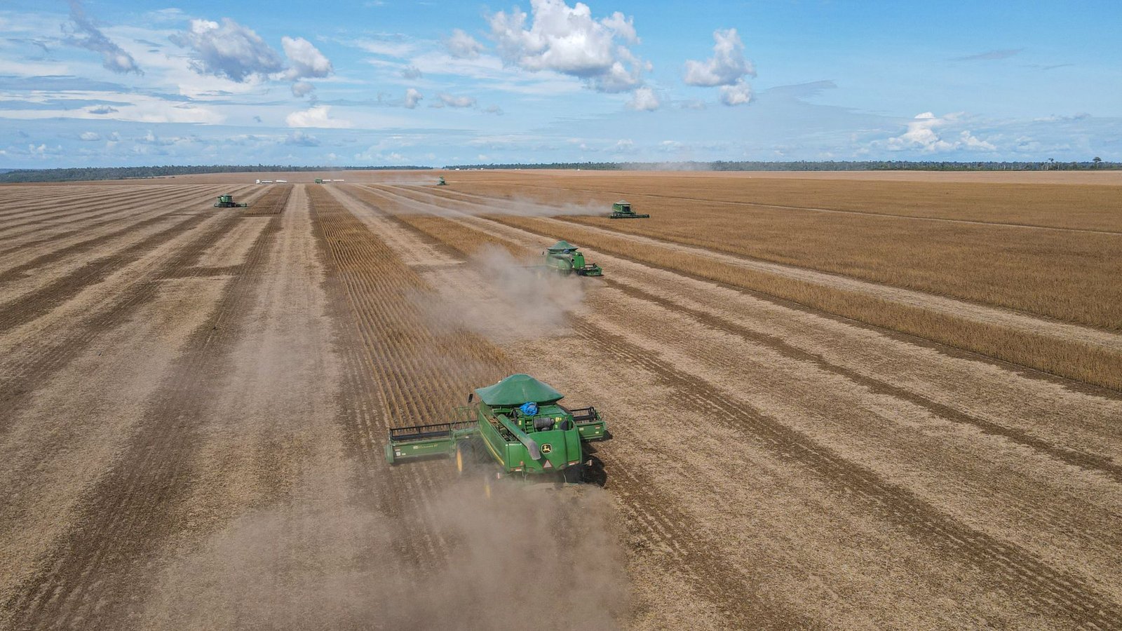 Vazio Sanitário da Soja em Mato Grosso: Como a AgTech Otimiza o Combate à Ferrugem Asiática
