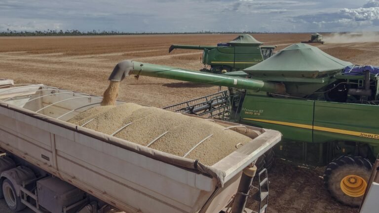 Volatilidade de Grãos: Como AgTech Impulsiona a Resiliência Agrícola