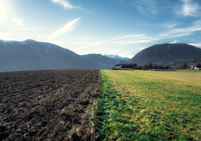 Agricultura Regenerativa de Precisão: A Competitividade do Agro Brasileiro em Jogo