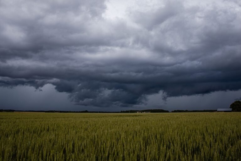 Alerta de Temporais no RS: Como a AgTech é a defesa da sua lavoura