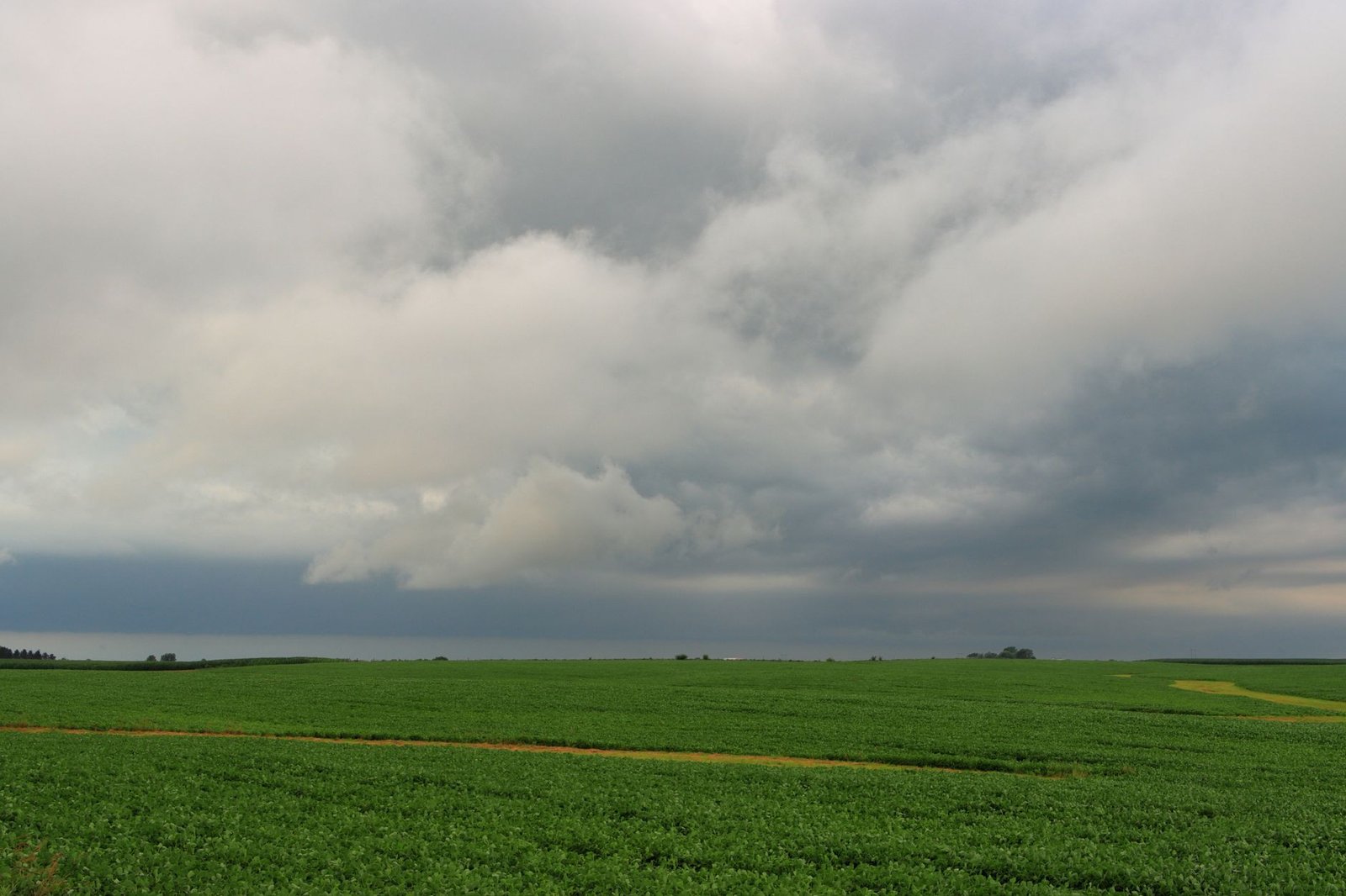 Alertas do Inmet: Chuva e Frio Ameaçam Safra e Impulsionam Agricultura de Precisão