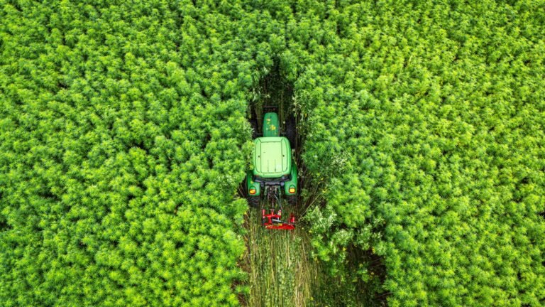 Máquinas agrícolas crescem 8,3% em junho, diz Abimaq
