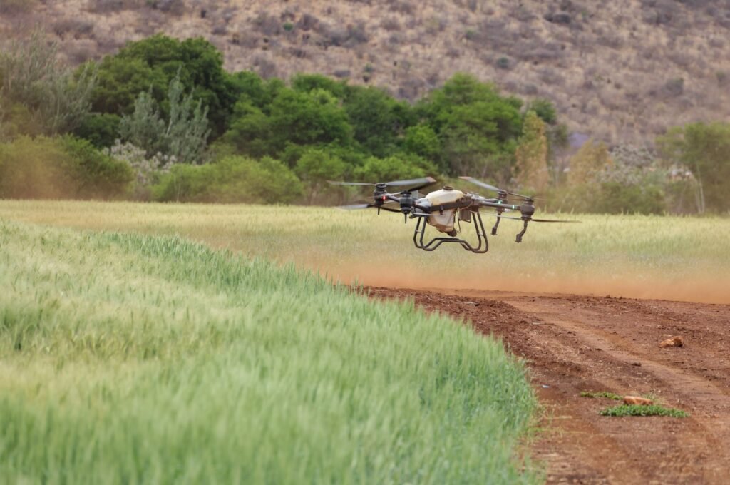 Moratória da Soja: como a tecnologia pode evitar o desmatamento de 1,4 milhão de hectares na Amazônia