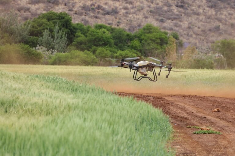 Moratória da Soja: como a tecnologia pode evitar o desmatamento de 1,4 milhão de hectares na Amazônia