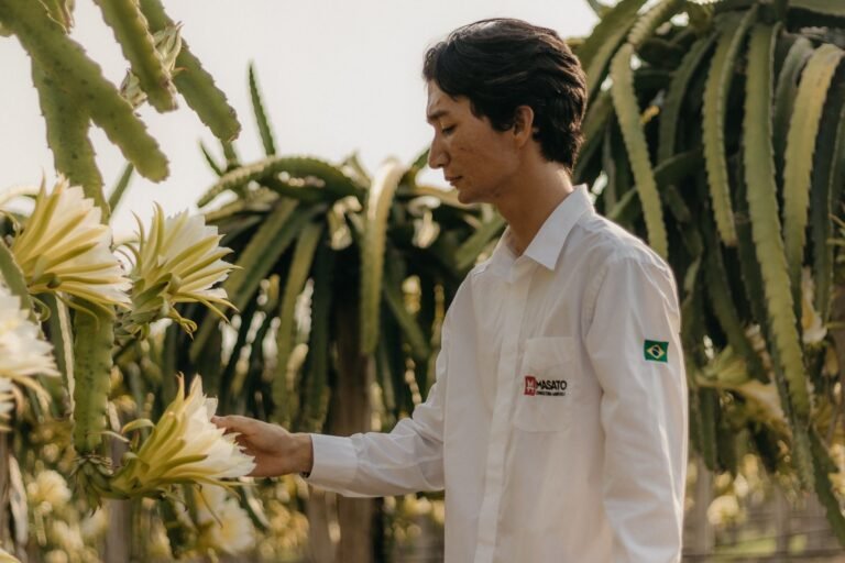 Nova Lei dos Defensivos: por que a regulamentação é crucial para a inovação no agro