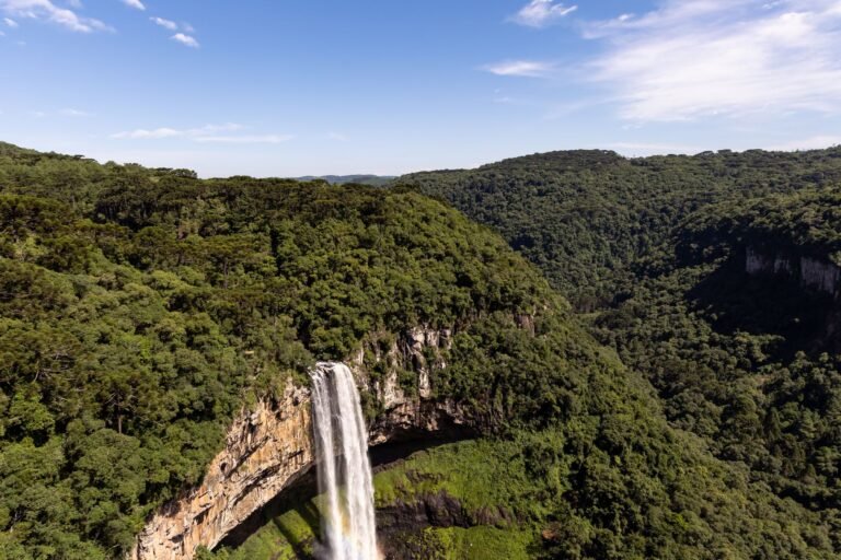 Tornado no RS: Tecnologia que pode salvar a produção rural