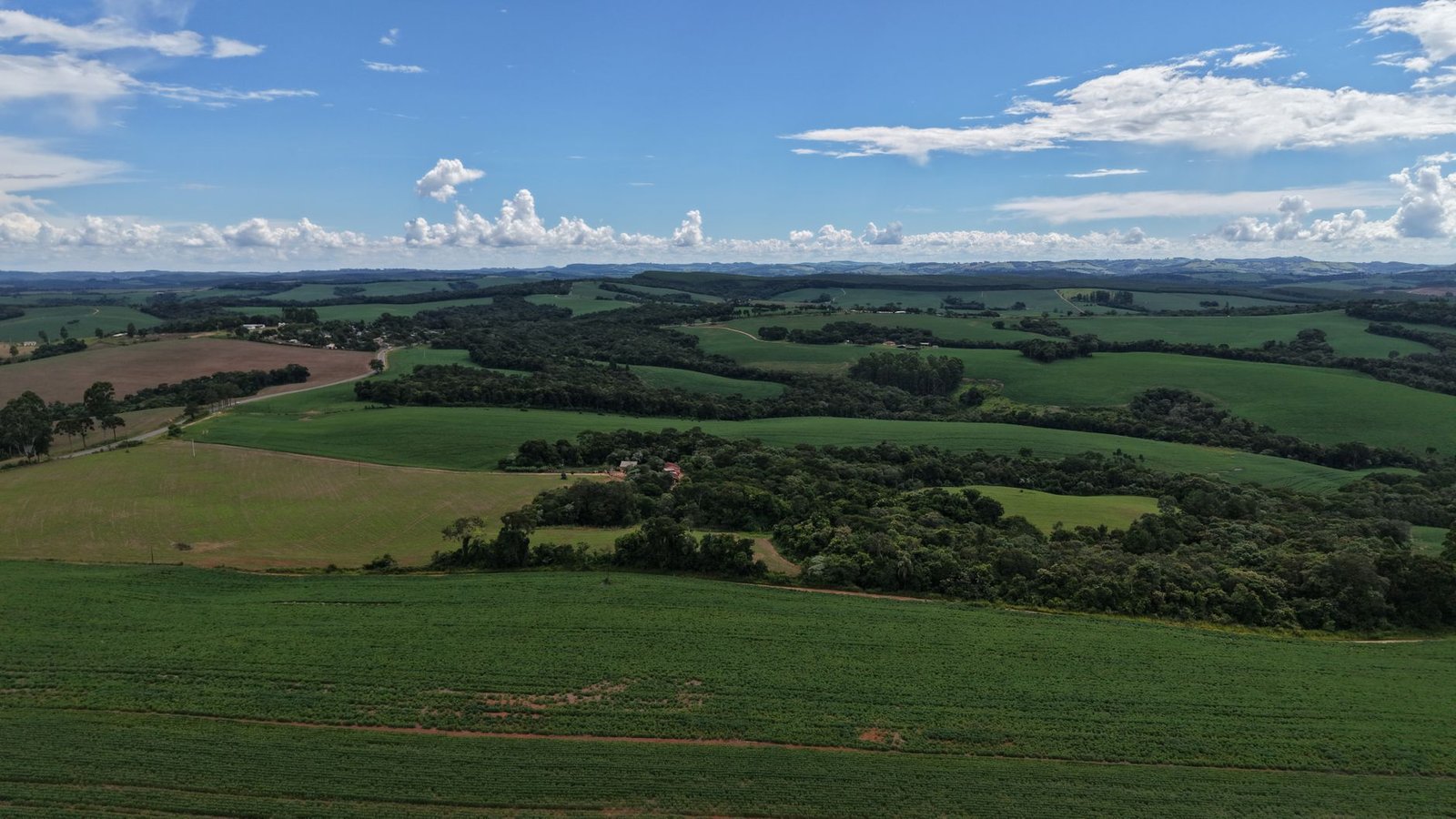 FPA impulsiona biodiesel, etanol e biometano no Congresso