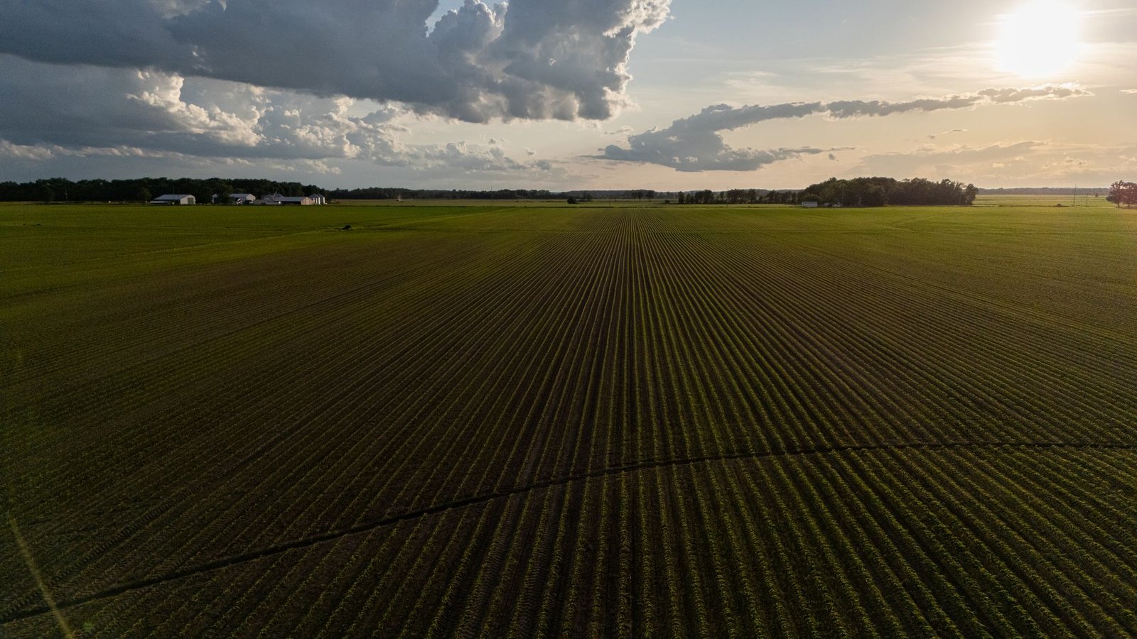 Preços da soja sobem: tecnologia como solução para custos e clima