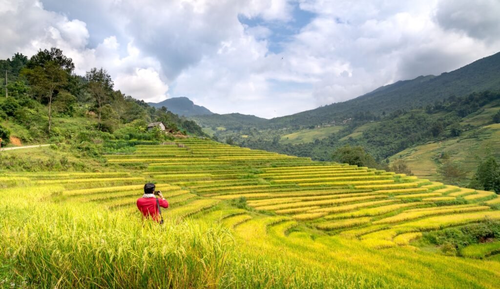 Terraceamento em SC: Resiliência Agrícola Contra o El Niño