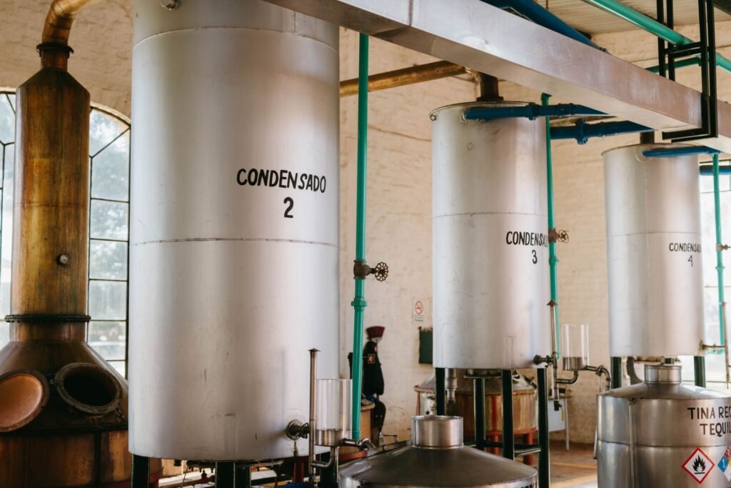 Atmonia Revoluciona Produção de Amônia Verde em um Passo Único