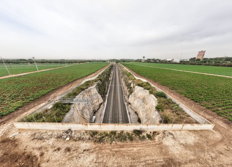 TCU libera 3.000 km de ferrovia no Nordeste, impulsionando logística