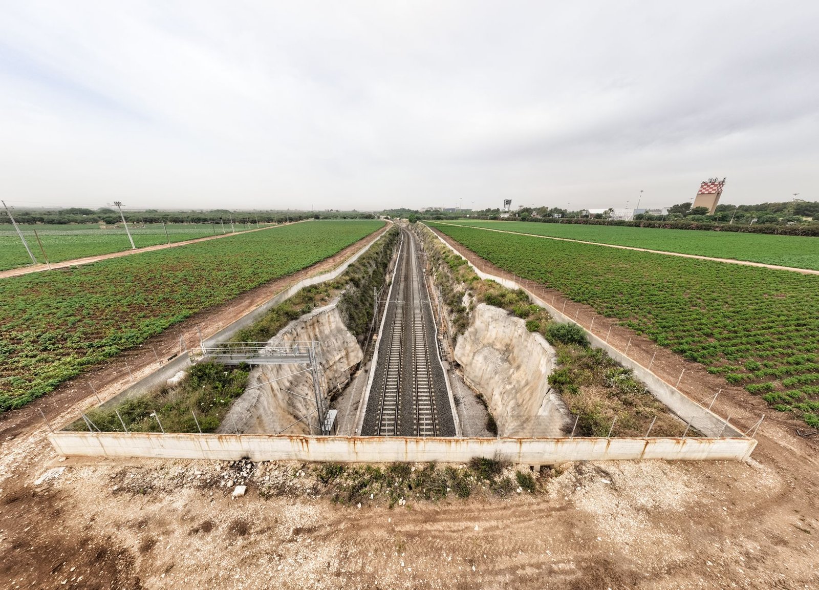 TCU libera 3.000 km de ferrovia no Nordeste, impulsionando logística